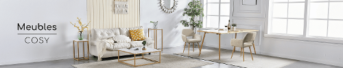 MEUBLES COSY (Vendedor Internacional - UE)